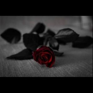 Meet your Posher, Shellie